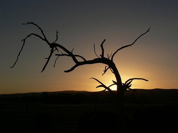 momentky z  Australie.jpg